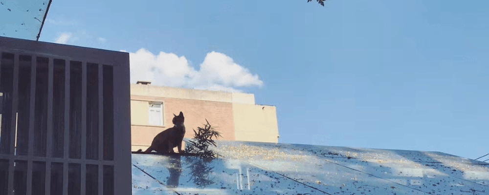 呀-烟火飘飘的小窝